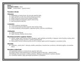 Dailės pamokos planas: "Joninių nakties - paparčio žiedas" 2 puslapis