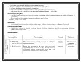 Dailės pamokos planas: "Joninių nakties - paparčio žiedas" 3 puslapis