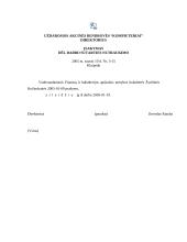 Dokumentų įforminimo pavyzdžiai 16 puslapis