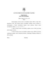 Dokumentų įforminimo pavyzdžiai 19 puslapis