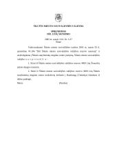 Dokumentų įforminimo pavyzdžiai 20 puslapis