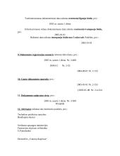 Dokumentų įforminimo pavyzdžiai 7 puslapis