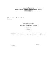 Dokumentų pavyzdžiai - profesionalūs 15 puslapis