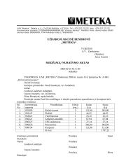 Dokumentų pavyzdžiai - profesionalūs 6 puslapis