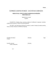 Dokumentų pavyzdžiai - profesionalūs 8 puslapis