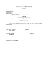 Dokumentų pavyzdžiai - profesionalūs 9 puslapis