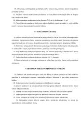 Įstaigos rengiami dokumentai 12 puslapis