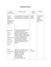 Etikos pamokos planas: "sunkūs" paaugliai 3 puslapis