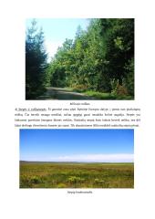 Geografijos pamokos planas: Europos augalija 12 puslapis