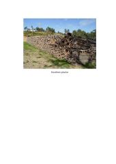 Geografijos pamokos planas: Europos augalija 17 puslapis