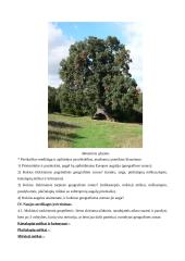 Geografijos pamokos planas: Europos augalija 18 puslapis