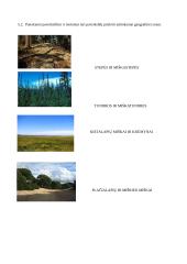 Geografijos pamokos planas: Europos augalija 20 puslapis