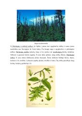 Geografijos pamokos planas: Europos augalija 8 puslapis