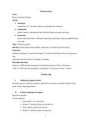 Geografijos pamokos planas: Šiaurės Amerikos klimatas