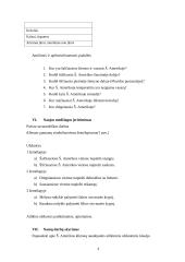 Geografijos pamokos planas: Šiaurės Amerikos klimatas 4 puslapis