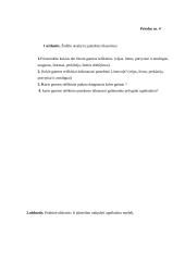 Geografijos pamokos planas: Ugnikalnių išsiveržimai 6 puslapis