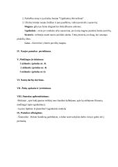 Geografijos pamokos planas: Ugnikalnių išsiveržimai 9 puslapis