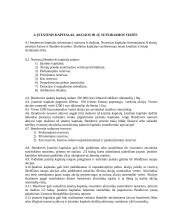 Įmonės (UAB) steigimas 13 puslapis