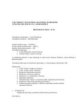 Įmonės (UAB) steigimas 3 puslapis