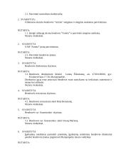 Įmonės (UAB) steigimas 4 puslapis