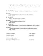 Įmonės (UAB) steigimas 5 puslapis