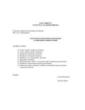 Įmonės (UAB) steigimas 7 puslapis