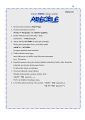 Informatikos pamokų planas 14 puslapis