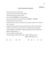 Informatikos pamokų planas 15 puslapis