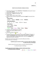 Informatikos pamokų planas 16 puslapis