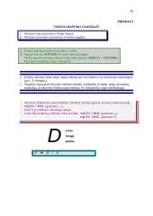 Informatikos pamokų planas 17 puslapis