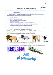 Informatikos pamokų planas 18 puslapis