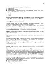 Informatikos pamokų planas 3 puslapis