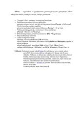 Informatikos pamokų planas 7 puslapis