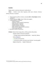 Informatikos pamokų planas 10 puslapis