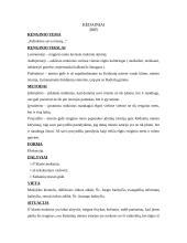 Įsivaizduojamo renginio planas "Pažinkime savo miestą..." 2 puslapis