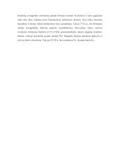 Įsivaizduojamo renginio planas "Pažinkime savo miestą..." 14 puslapis