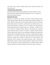 Įsivaizduojamo renginio planas "Pažinkime savo miestą..." 3 puslapis