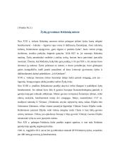 Įsivaizduojamo renginio planas "Pažinkime savo miestą..." 7 puslapis