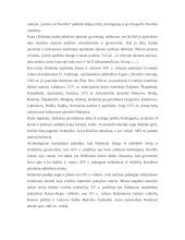 Įsivaizduojamo renginio planas "Pažinkime savo miestą..." 10 puslapis