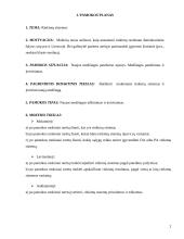 Išplėstinis pamokos planas "Rinkimų sistemos" 2 puslapis