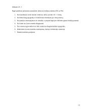 Išplėstinis pamokos planas "Rinkimų sistemos" 12 puslapis