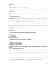 Išplėstinis pamokos planas "Rinkimų sistemos" 16 puslapis