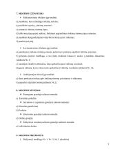 Išplėstinis pamokos planas "Rinkimų sistemos" 3 puslapis