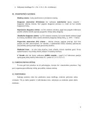 Išplėstinis pamokos planas "Rinkimų sistemos" 4 puslapis