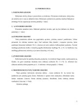 Išplėstinis pamokos planas "Rinkimų sistemos" 5 puslapis