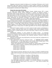 Išplėstinis pamokos planas "Rinkimų sistemos" 7 puslapis