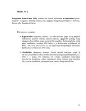 Išplėstinis pamokos planas "Rinkimų sistemos" 10 puslapis