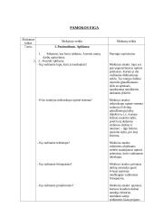 Išplėstinis pamokos planas: šviesos dispersija 2 puslapis