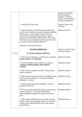 Išplėstinis pamokos planas: šviesos dispersija 3 puslapis