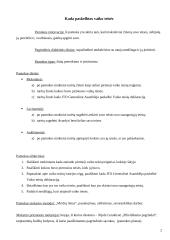 Išplėstinis pilietinės visuomenės pagrindų pamokos planas: "Kada paskelbtos vaiko teisės?" 2 puslapis